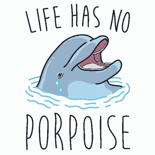 a picture of a dolphin with the words " life has no porpoise " below it