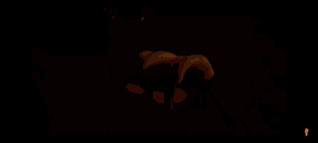 a close up of a person 's hand in a dark room with the letter t visible