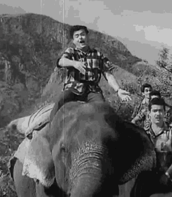 a man is riding on the back of an elephant with a group of people .