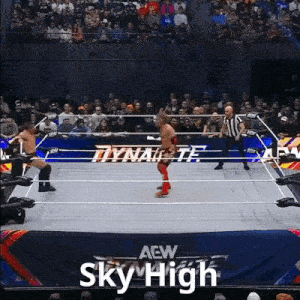 a wrestler in a ring with a sign that says sky high on it