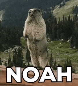 a ground squirrel is standing on its hind legs with the word noah above it