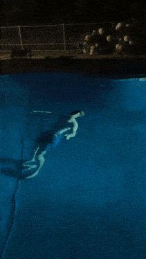 a person is swimming in a pool with a fence in the background