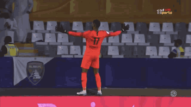 a soccer player with the number 17 on their jersey
