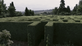 Green Labyrinth GIF - Green Labyrinth Plants GIFs