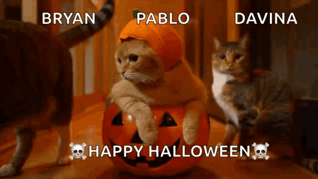 Pumpkin Halloween GIF