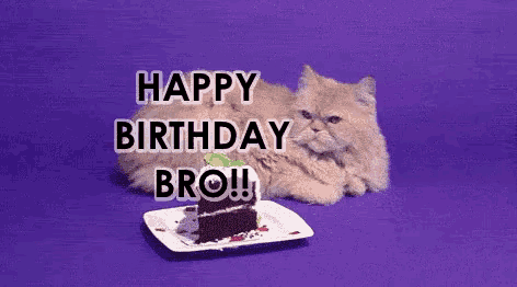 Happy Birthday Bro Happy Birthday Brother GIF - Happy Birthday Bro Happy Birthday Brother Hbd GIFs