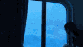 a person looking out a window at the ocean