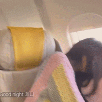 a woman is sleeping on a plane with the words good night written on the bottom