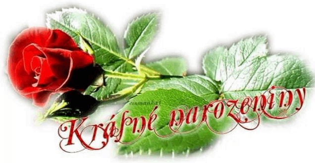 a red rose with green leaves is on a white background with the words krupne darzeniny written below it .