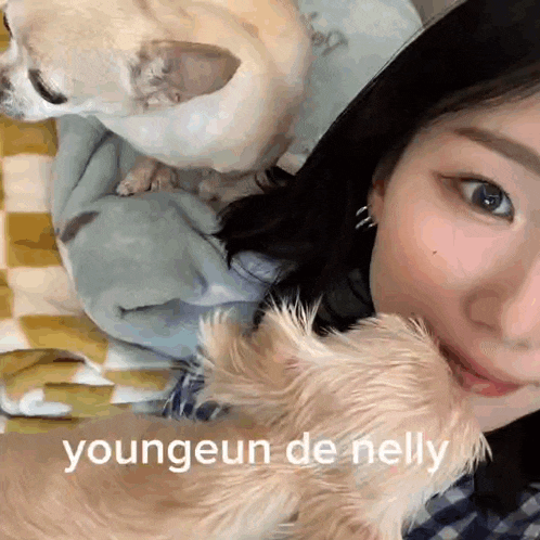 a woman is holding a small dog in her arms and the dog is licking her face .