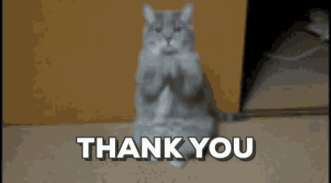 a cat is sitting on its hind legs with the words thank you behind it