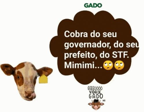 Bolsonaro Traidor Bolsonaro Genocida GIF - Bolsonaro Traidor Bolsonaro Genocida Fora Bolsonaro GIFs
