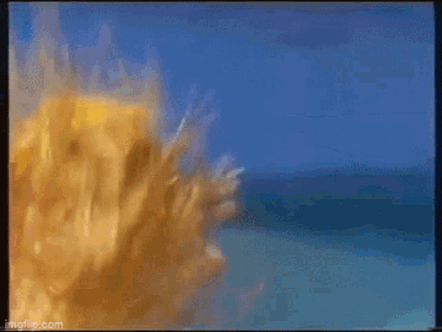 a close up of a woman 's hair blowing in the wind on a beach .