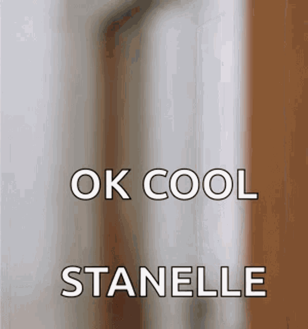 a picture of a door with the words `` ok cool stanelle '' on it .