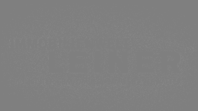 the word leiner is written in white on a grey background