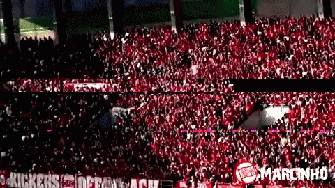 Support Soccer GIF - Support Soccer GIFs