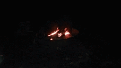 Campfire GIF - Campfire Fire GIFs