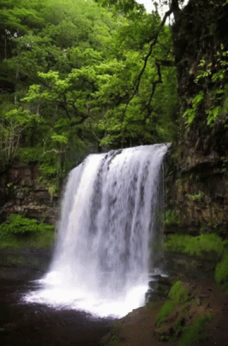 Peace Relaxation GIF - Peace Relaxation GIFs