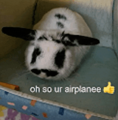 a black and white rabbit is laying in a box with the words oh so ur airplanee written on it