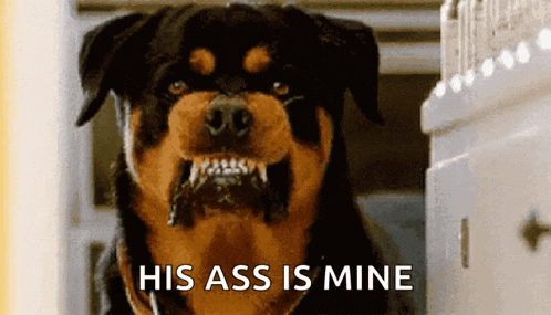 a rottweiler dog with its mouth open and the words his ass is mine behind it .