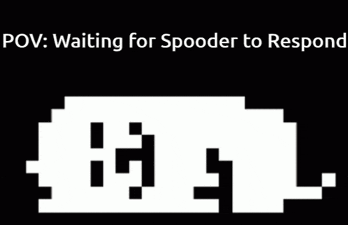 a black and white image with the words " waiting for spoorer to respond "