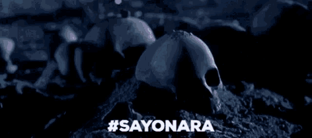 Sayonara Ninja GIF - Sayonara Ninja Ninja Protocol GIFs