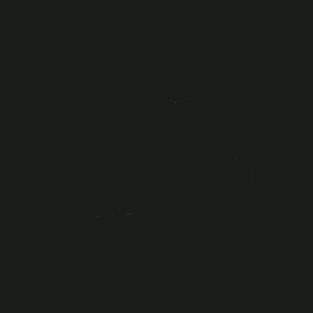 a black background with the words day store in white letters