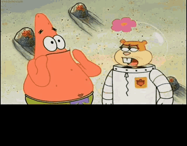 patrick star and sandy cheeks from spongebob squarepants are standing next to each other on a beach .