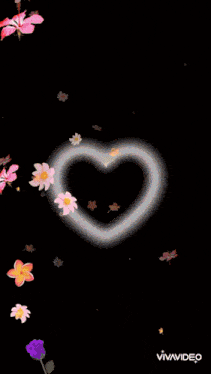 a woman in an orange dress is surrounded by flowers and a vivavideo logo