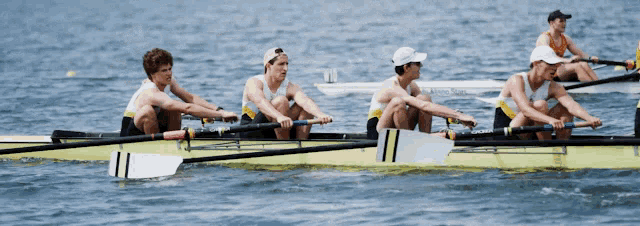 Unsw Unsw Rowing GIF - Unsw Unsw Rowing Rowing GIFs