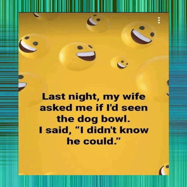 a yellow background with smiley faces and the words last night my wife asked me if i 'd seen the dog bowl ..