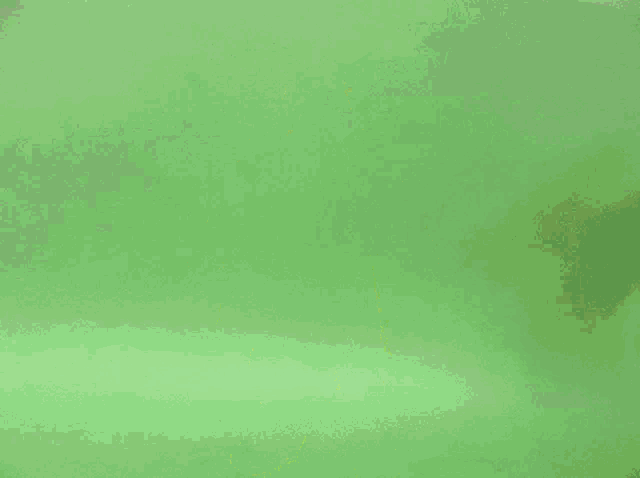 a robot toy is standing on a green background