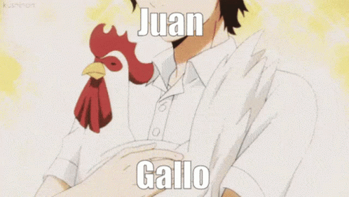 Juan Gallo GIF - Juan Gallo Galo GIFs