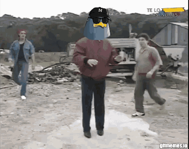 a man in a red jacket has a blue bird on his head and a hat with the letter n