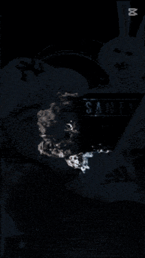 the word sanity is written on a black background