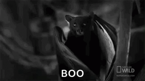 Bat Wings Bat GIF - Bat Wings Bat Scary GIFs