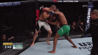two men are fighting in a ufc cage and the ufc store is behind them