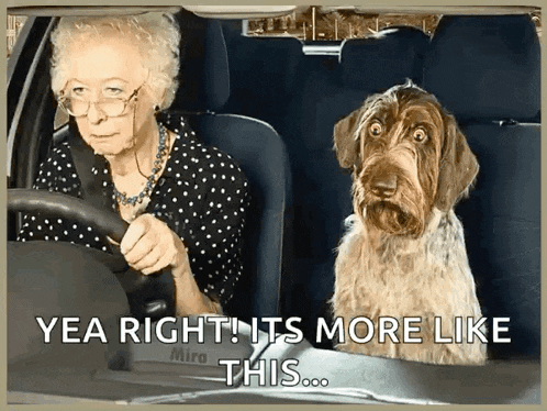 an elderly woman driving a car with a dog in the back seat