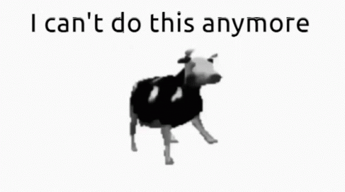Polish Cow Give Up GIF - Polish Cow Give Up I Cant Do This GIFs