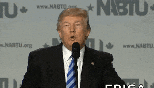 donald trump is speaking into a microphone in front of a nabtu sign