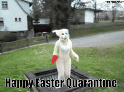 Happy Easter Easter Bunny GIF - Happy Easter Easter Bunny Quarantine GIFs