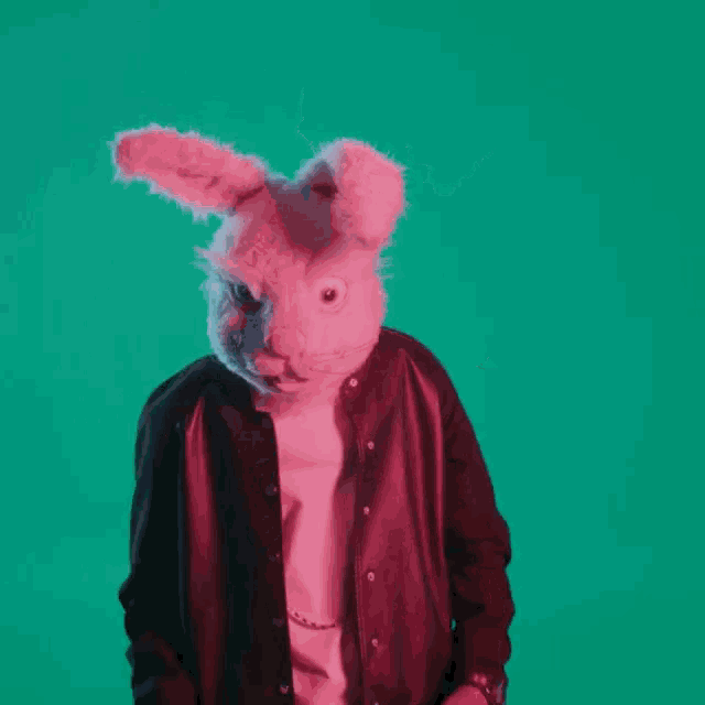 a person wearing a bunny mask and a leather jacket