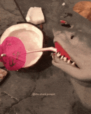 Shark Puppet Drink GIF - Shark Puppet Drink Drinking GIFs