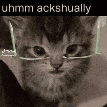 a close up of a kitten wearing glasses with the words uhmm ackshually above it