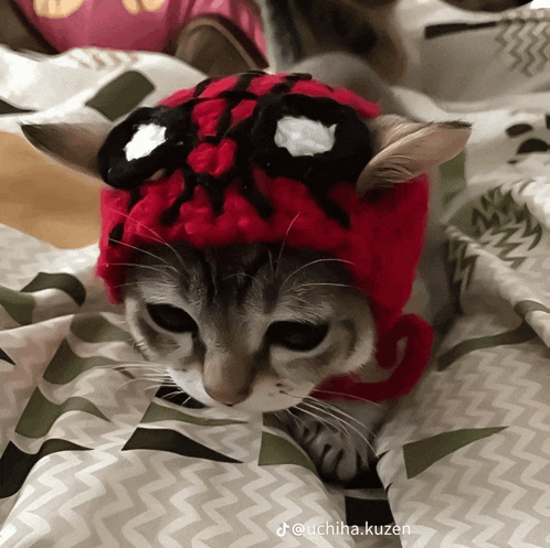 a cat wearing a red hat that looks like a spider