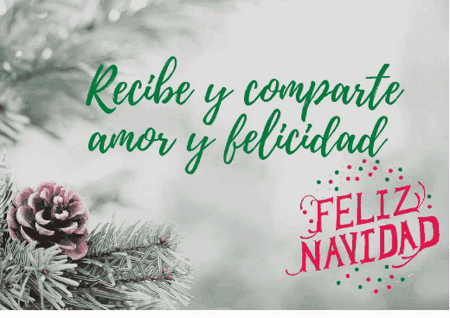 a christmas card in spanish with a pine cone and the words recibe y comparte amor y felicidad