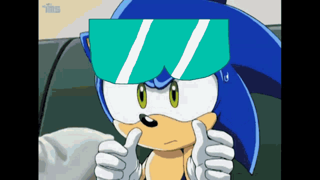 a cartoon of sonic the hedgehog wearing sunglasses