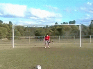 Oops GIF - Fail Penalty Kick Goal GIFs