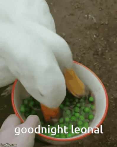 Goodnight Leonal GIF - Goodnight Leonal GIFs