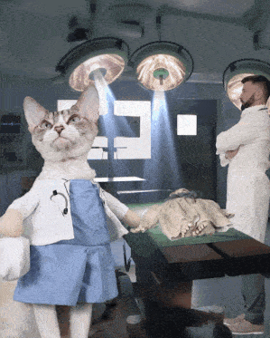 a cat dressed as a doctor is in an operating room with two doctors